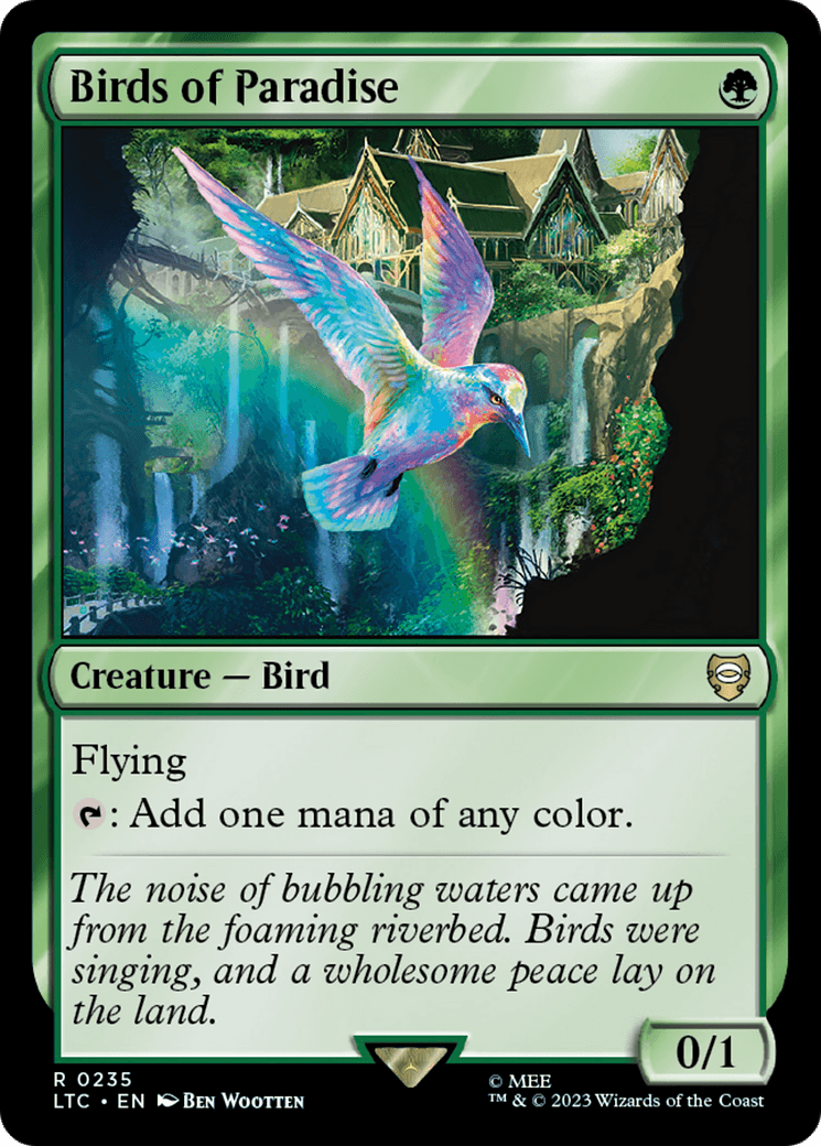 Birds Of Paradise