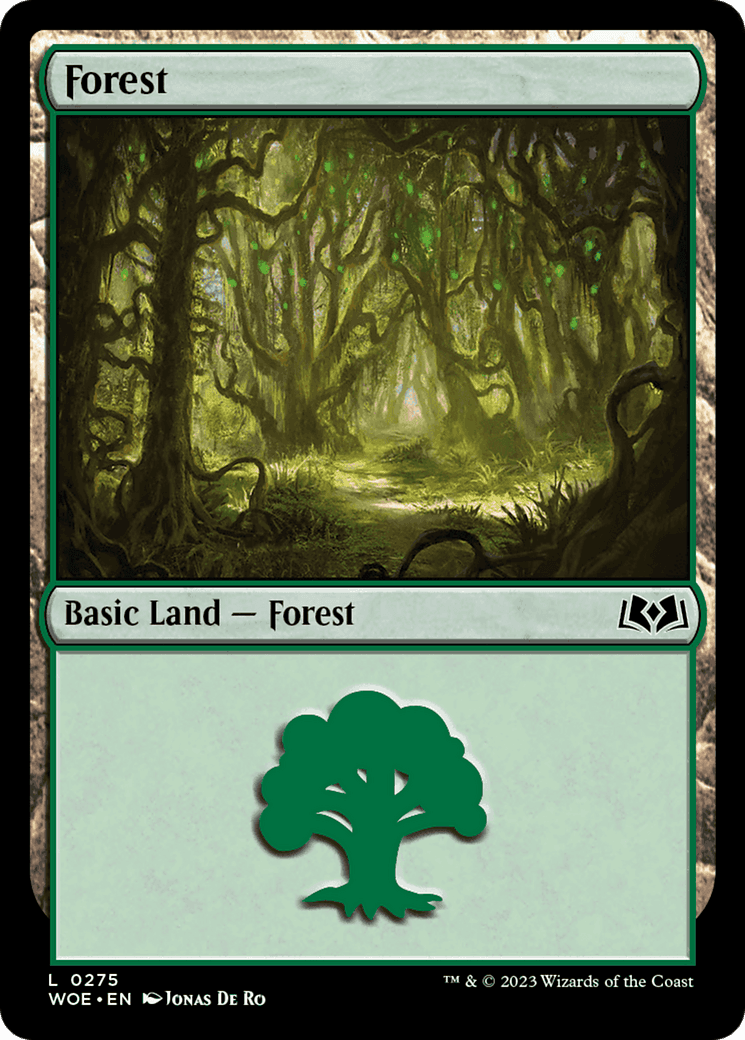 Forest (0275)