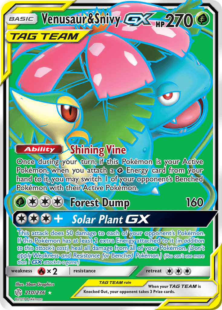 Venusaur & Snivy-GX