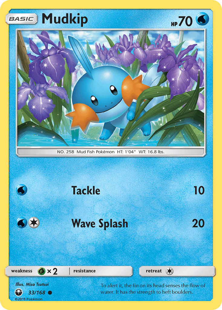 Mudkip